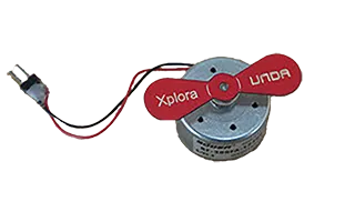 Motor